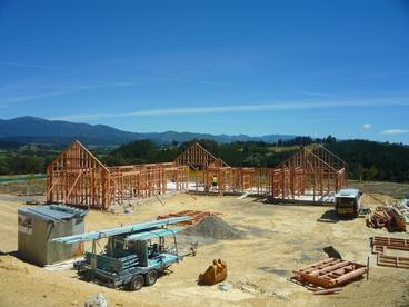 Entrance - Framing (24.01.2014)